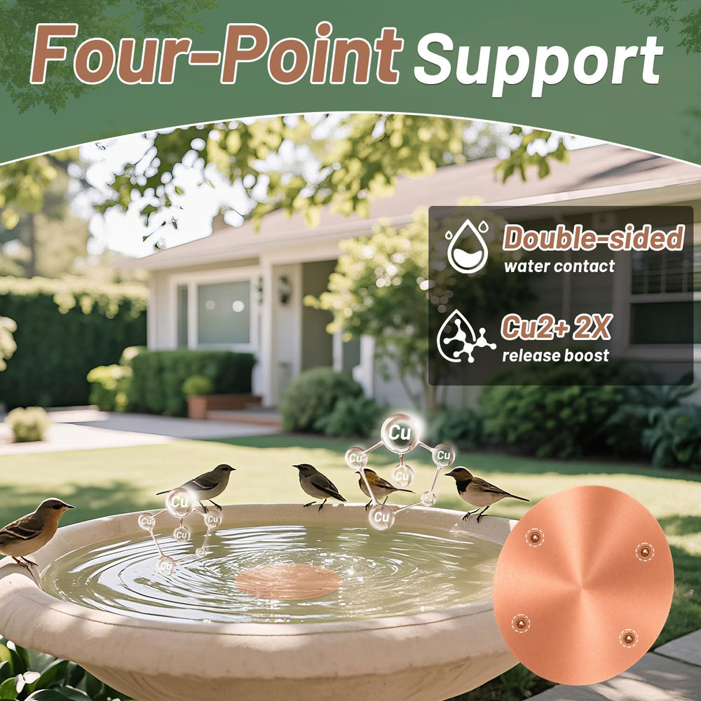 CTTZCKJ Copper Bird Bath Disk in a sunny garden