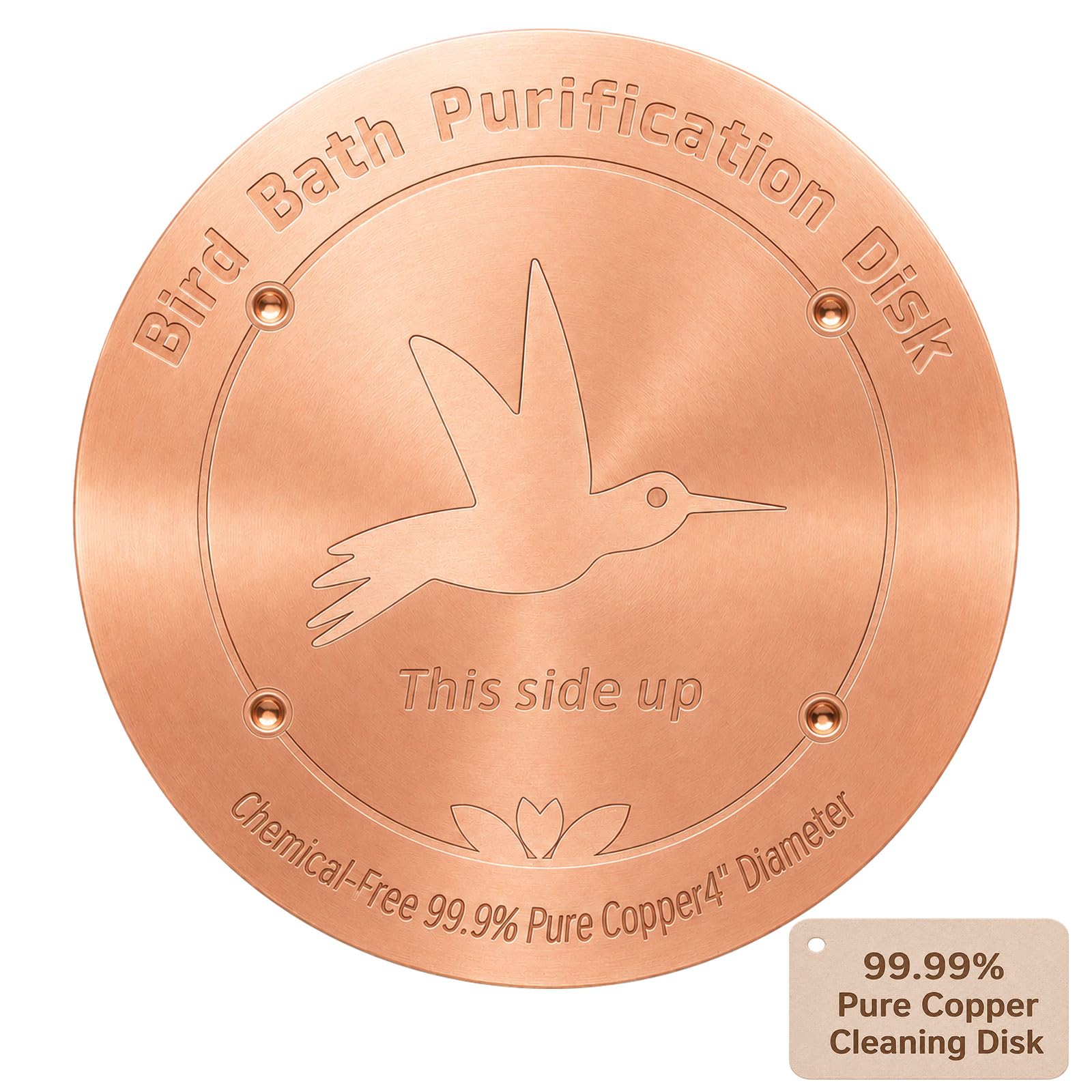 CTTZCKJ Copper Bird Bath Purification Disk front view