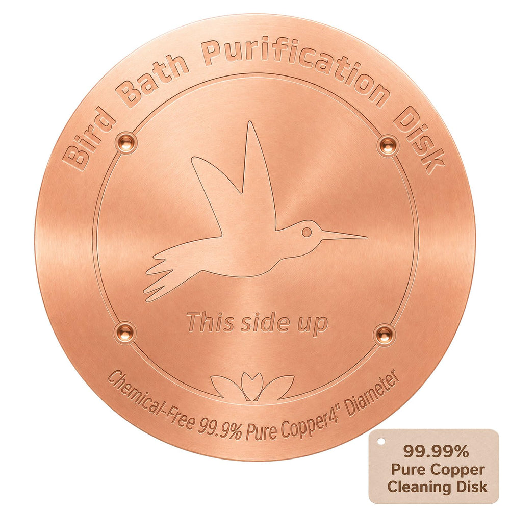 CTTZCKJ Copper Bird Bath Purification Disk front view