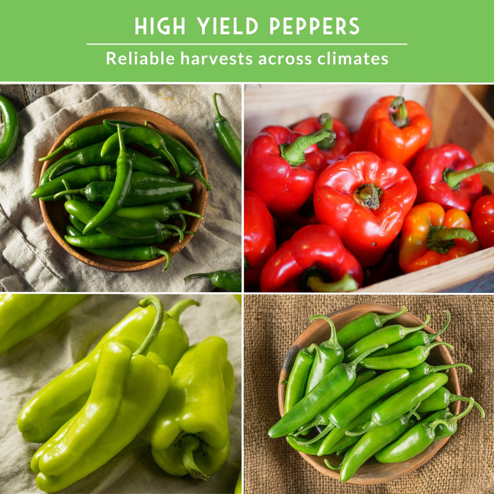 Cubanelle seeds from SURVIVAL GARDEN SEEDS