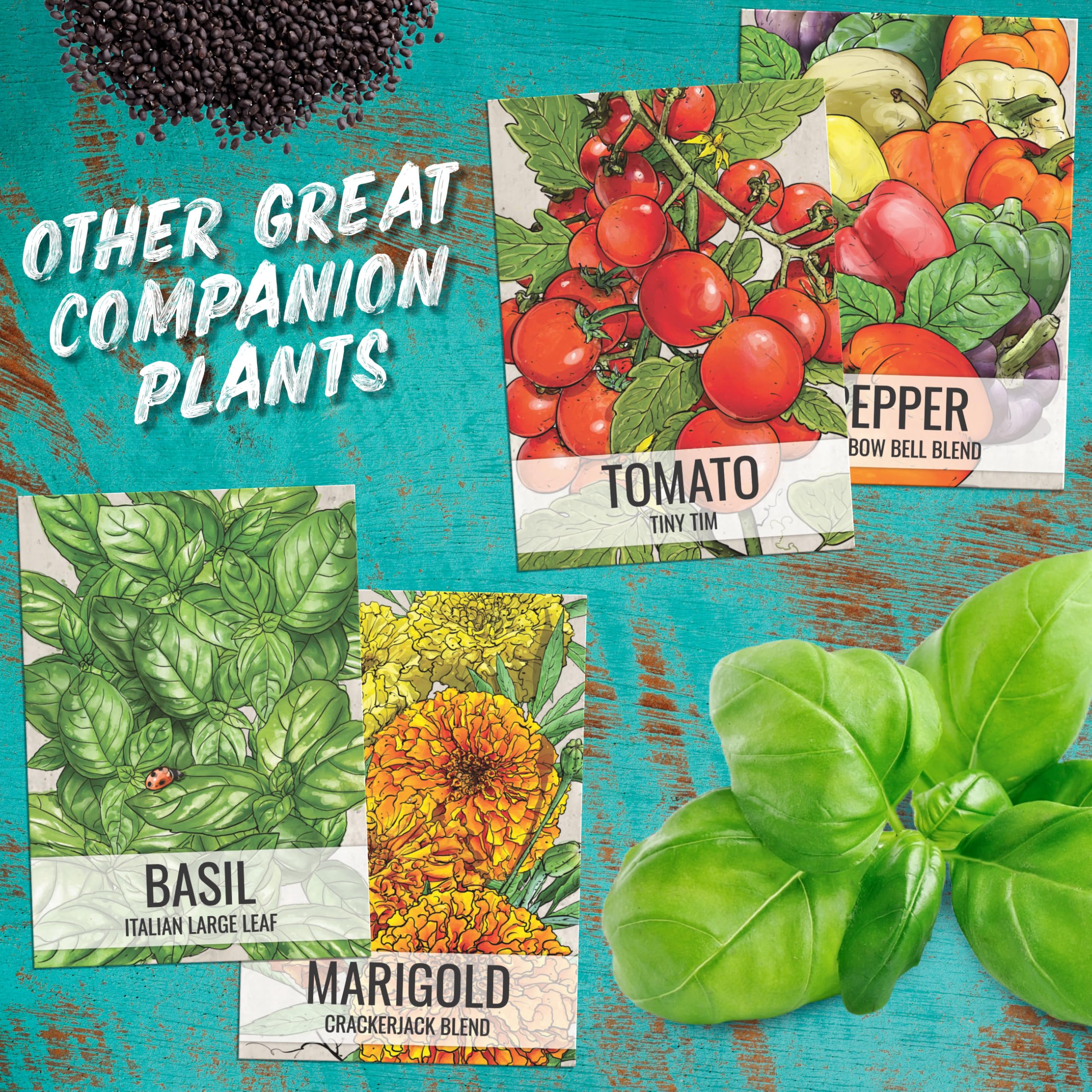 Culantro herb used in a Caribbean dish