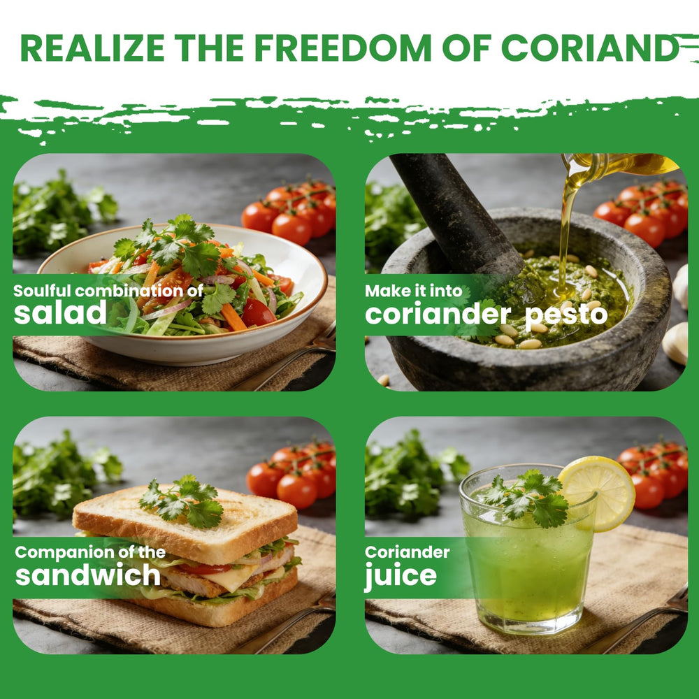 Culinary dishes made better with homegrown cilantro