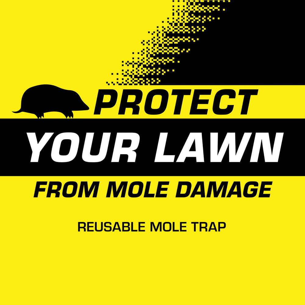 Curved jaw design of Tomcat Mole Trap