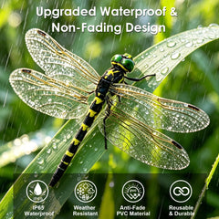 Cushry 3D Dragonfly Clip side view showing details