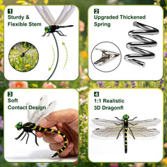 Cushry dragonfly clip attached to a pet collar outdoors