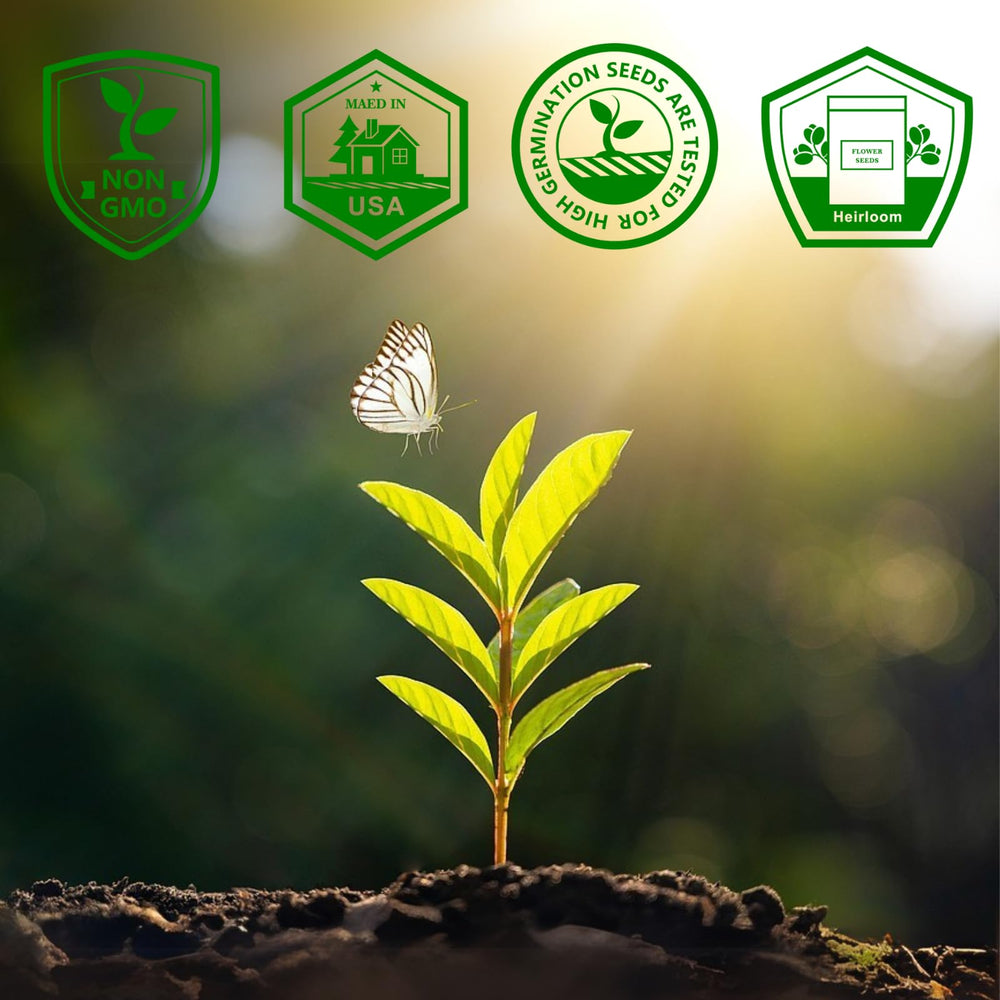 Customer-friendly email support information for zinnia seeds