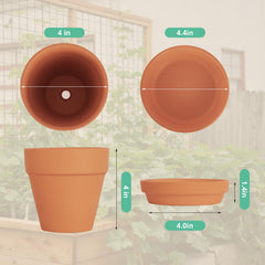 CUZZME terracotta pots arranged with plants