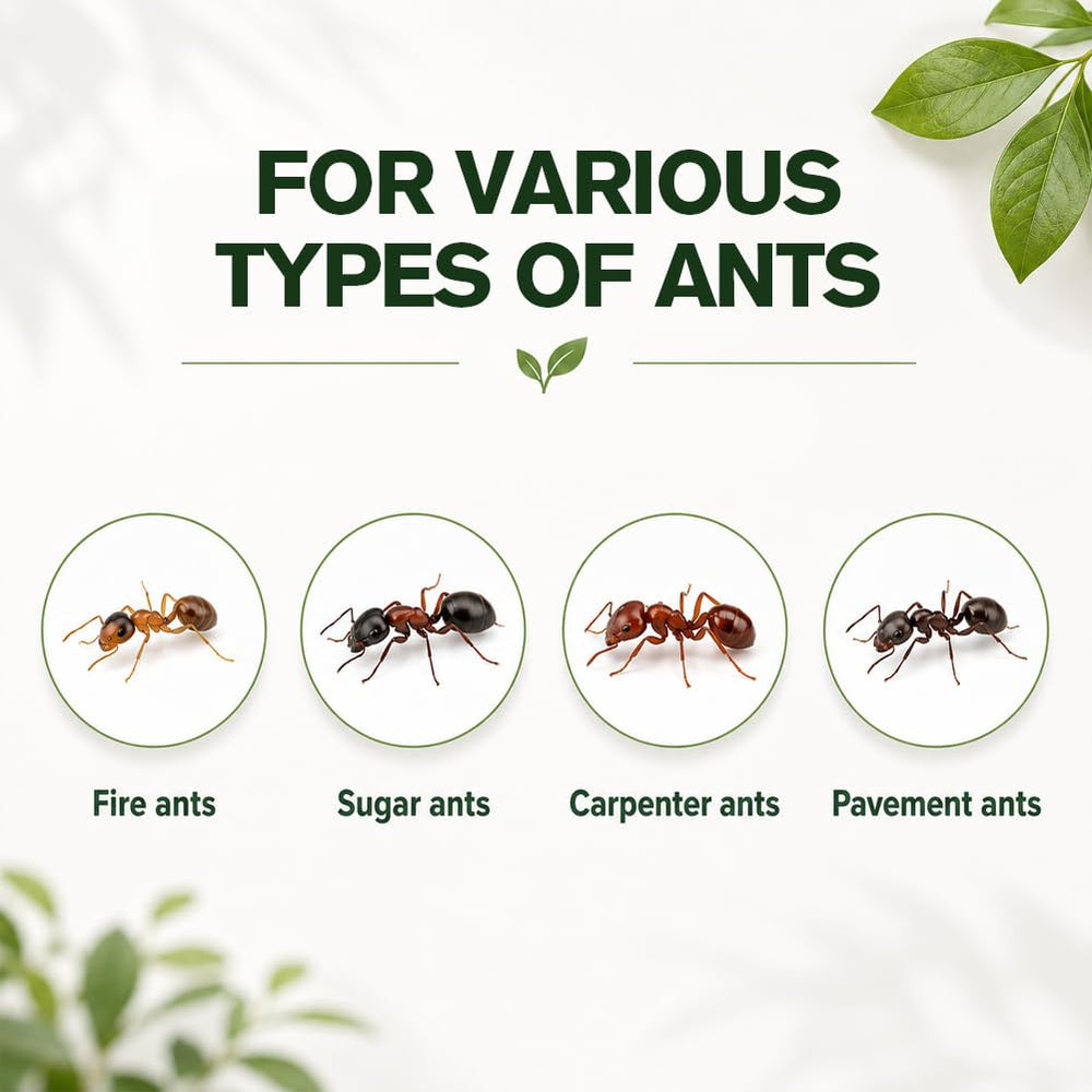 CVKDGJD Ant Away Indoor Repellent packaging