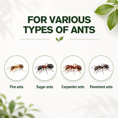 CVKDGJD Ant Away Indoor Repellent packaging