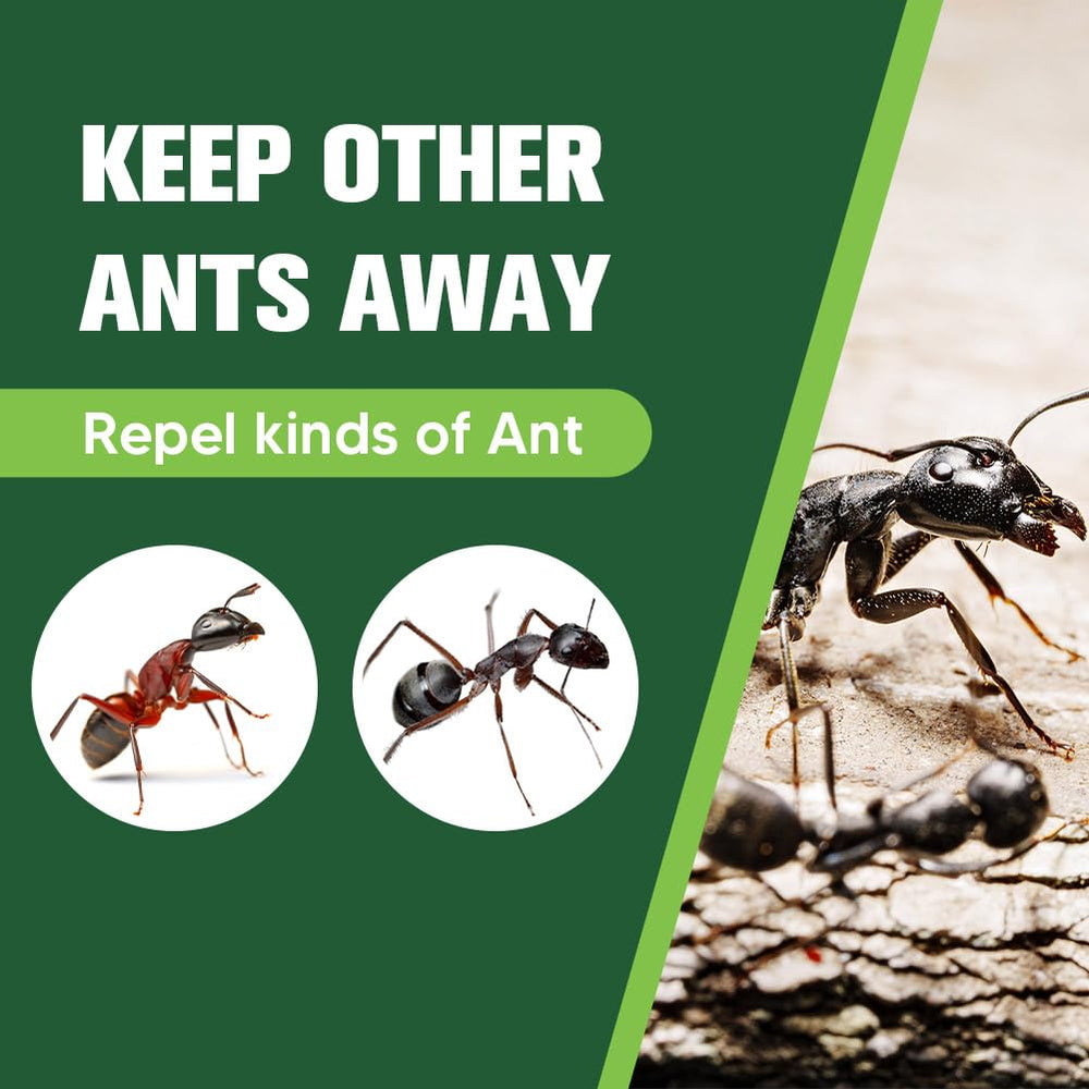 CVKDGJD Ant Repellent bottle front view with mint scent