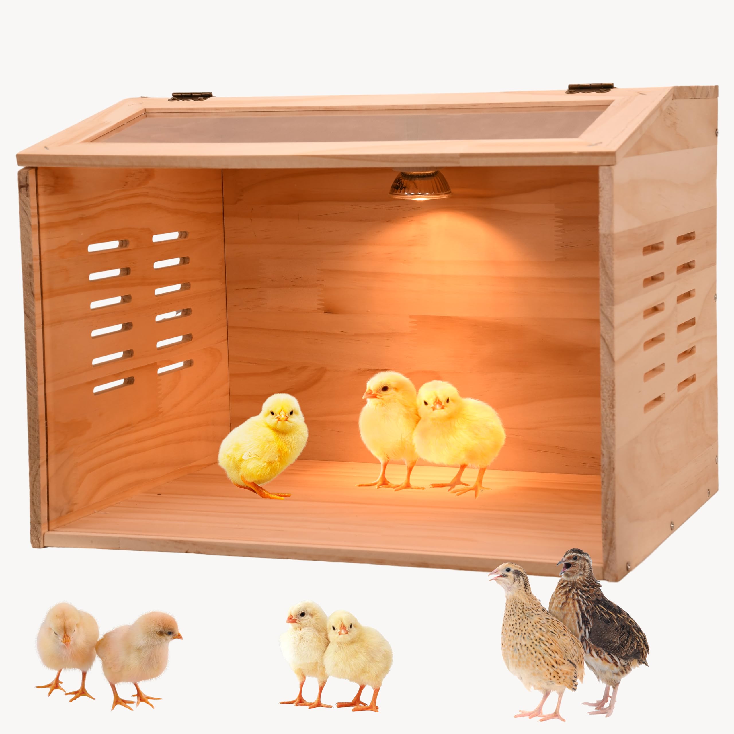 Cyzarize Brooder Box front view with heating lamp