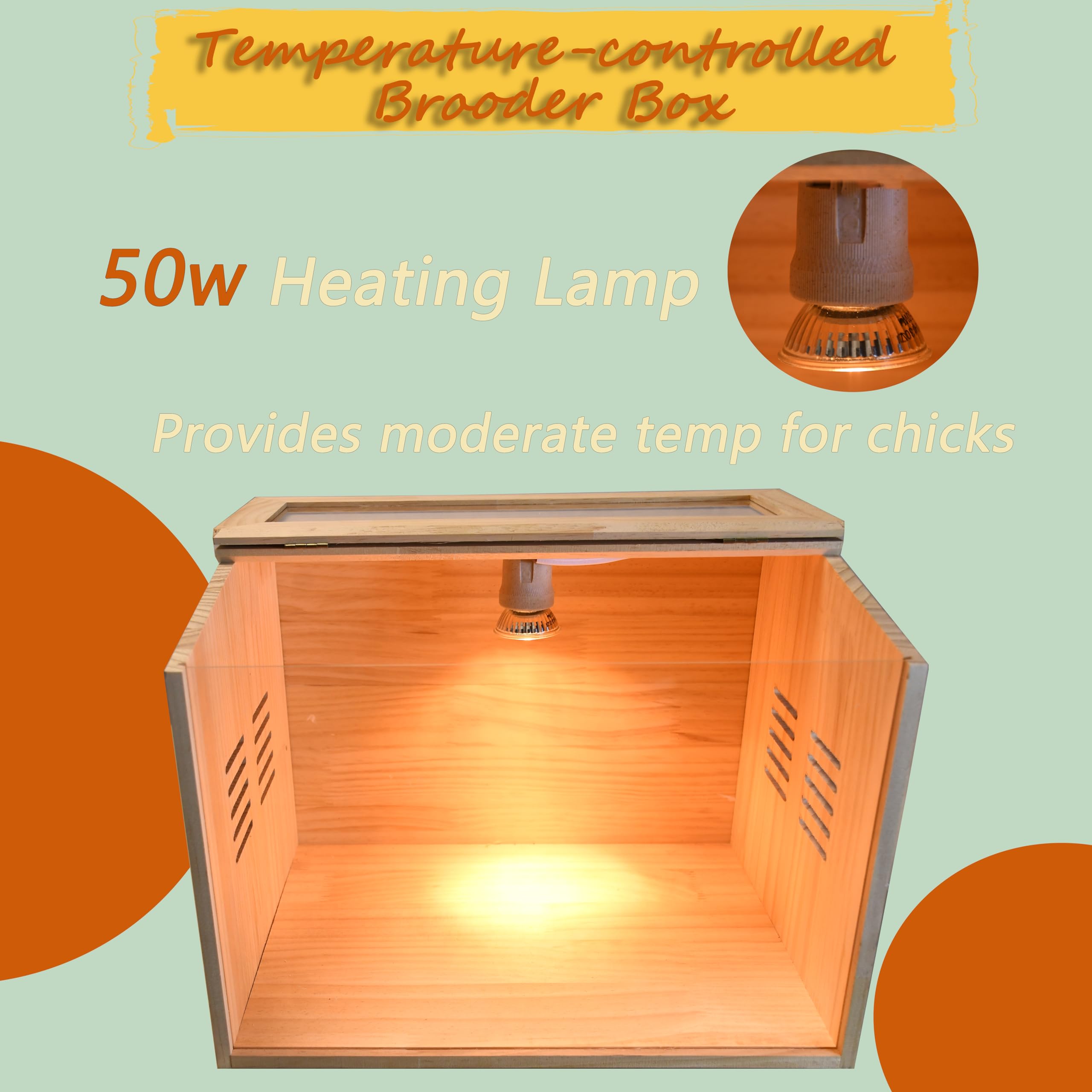 Cyzarize Brooder Box interior showing chicks