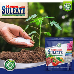 Cz Garden Magnesium Sulfate Epsom Salt granules close-up