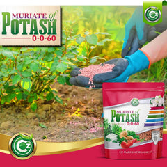 Cz Garden Muriate of Potash 5LB fertilizer side view