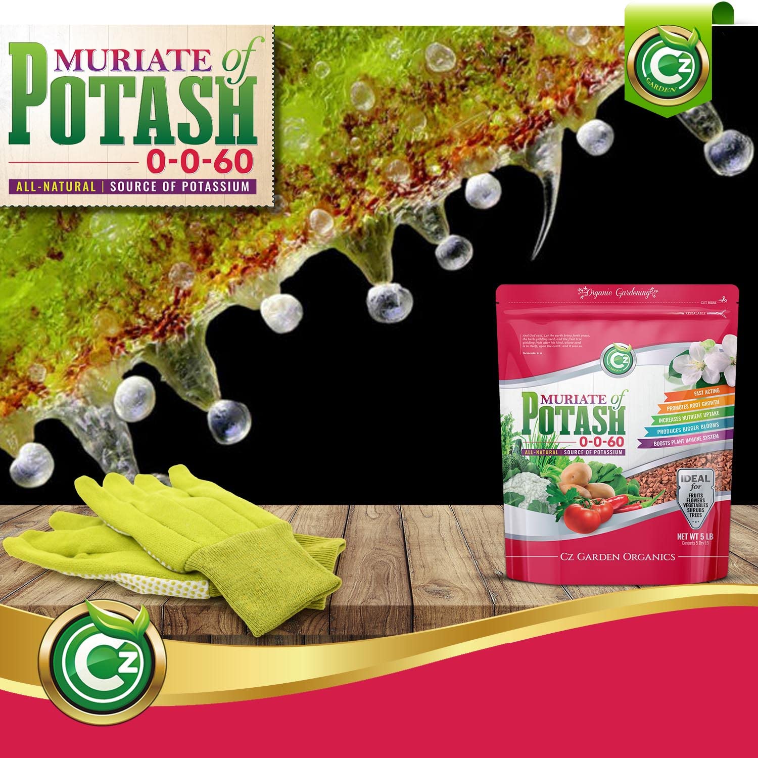 Cz Garden Muriate of Potash application on vegetable plants