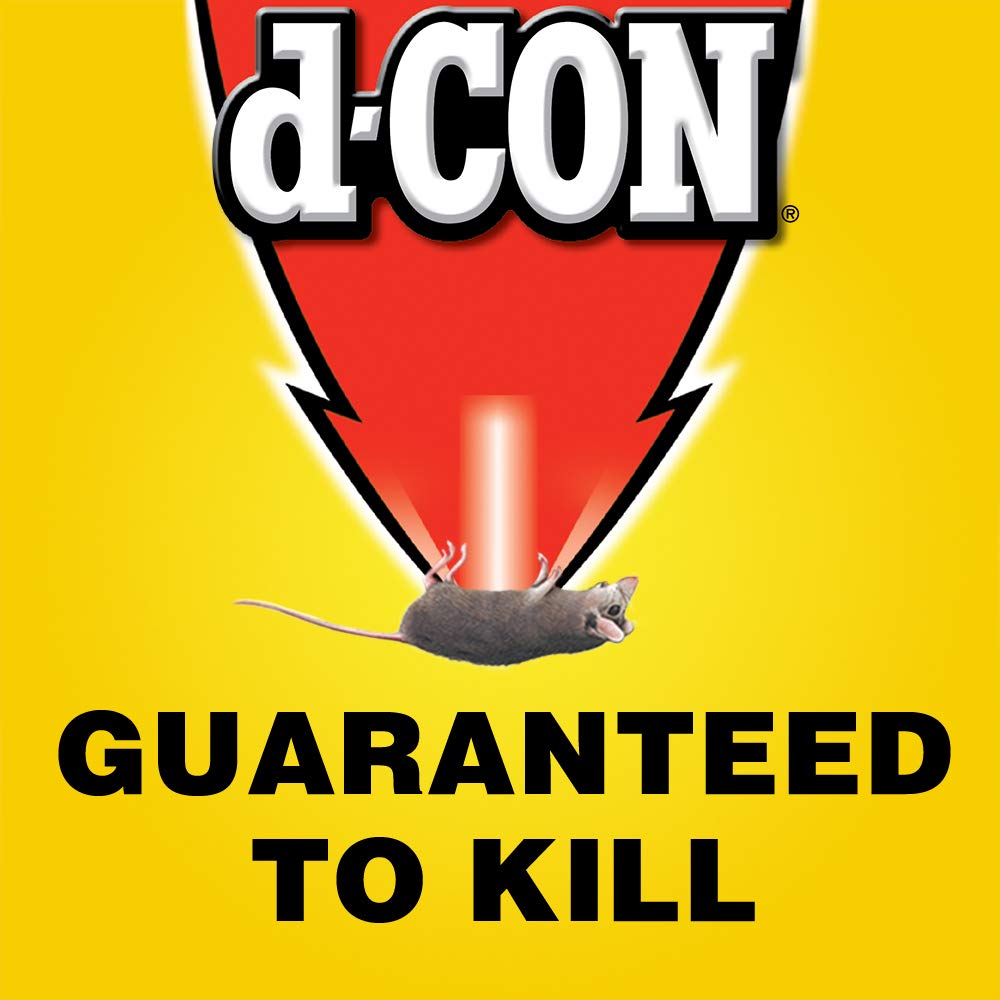 d-Con bait station in a garage setting