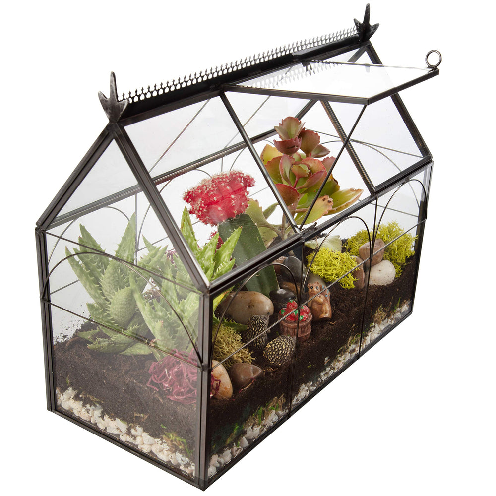 D'Eco Glass Greenhouse Terrarium back view with plants inside
