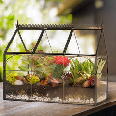 D'Eco Glass Greenhouse Terrarium filled with succulents and flowers