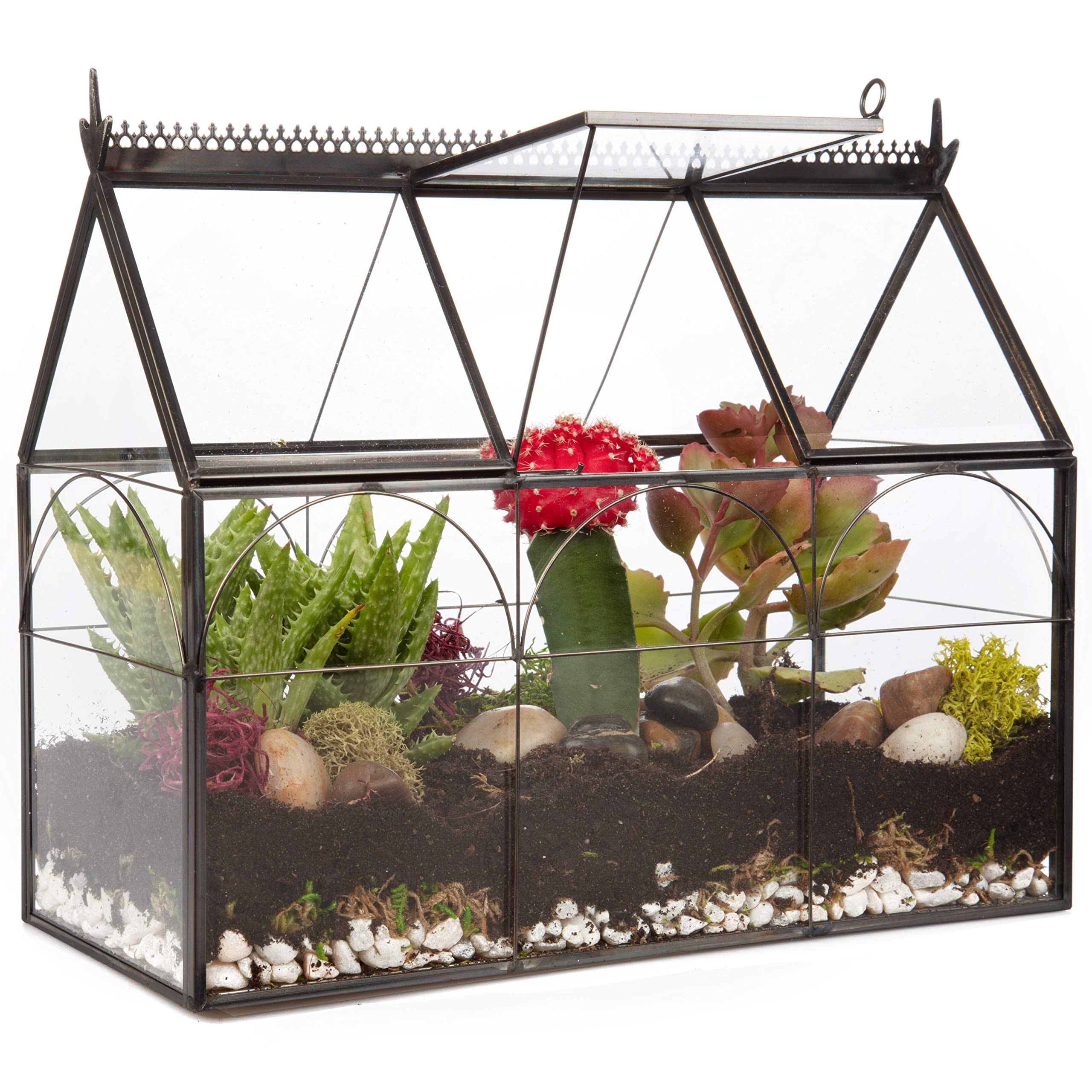 D'Eco Glass Greenhouse Terrarium front view with black brass accents
