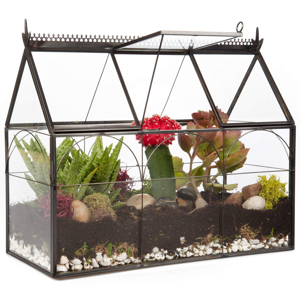 D'Eco Glass Greenhouse Terrarium front view with black brass accents