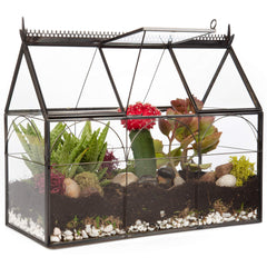 D'Eco Glass Greenhouse Terrarium front view with black brass accents