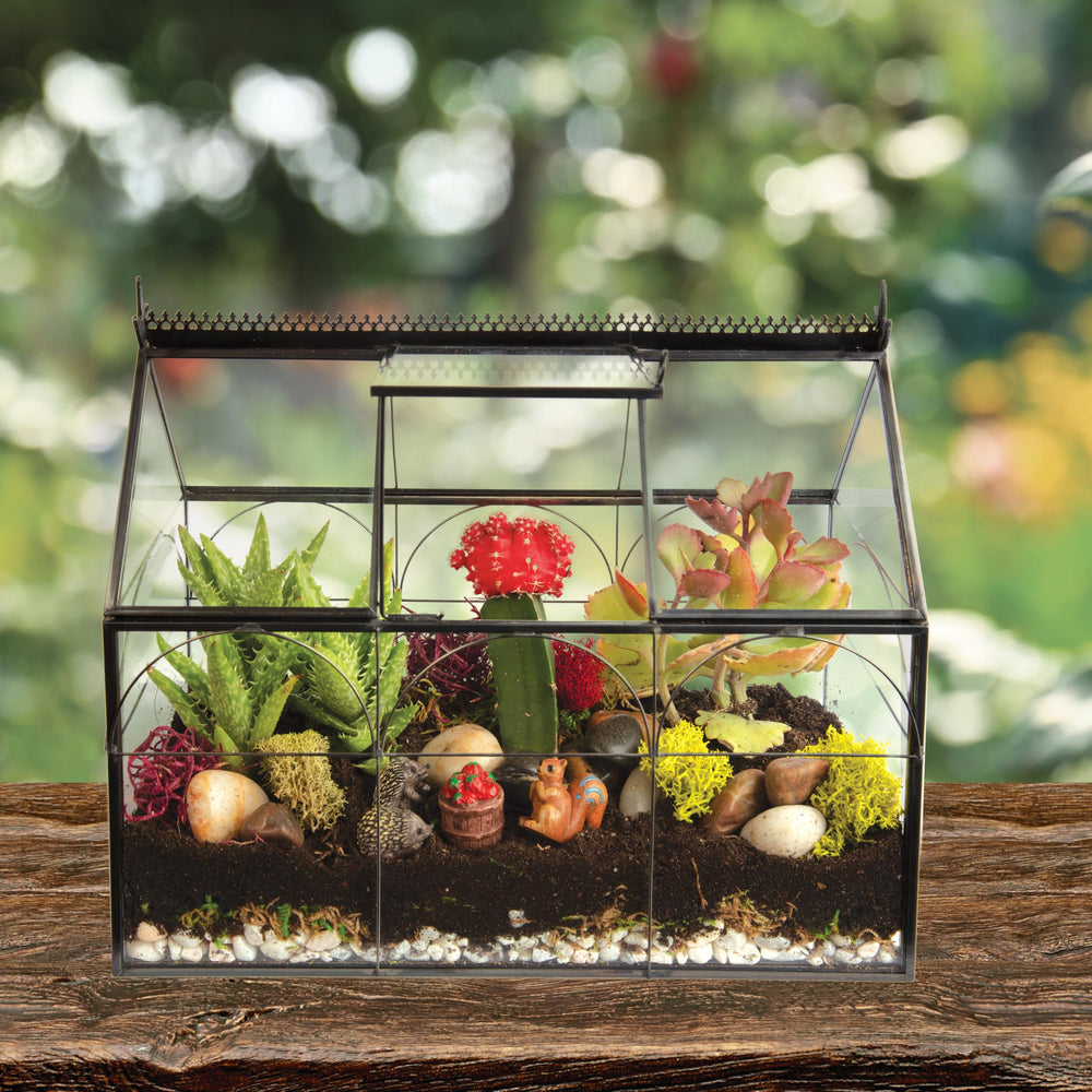 D'Eco Glass Greenhouse Terrarium showcasing a unique letterbox display