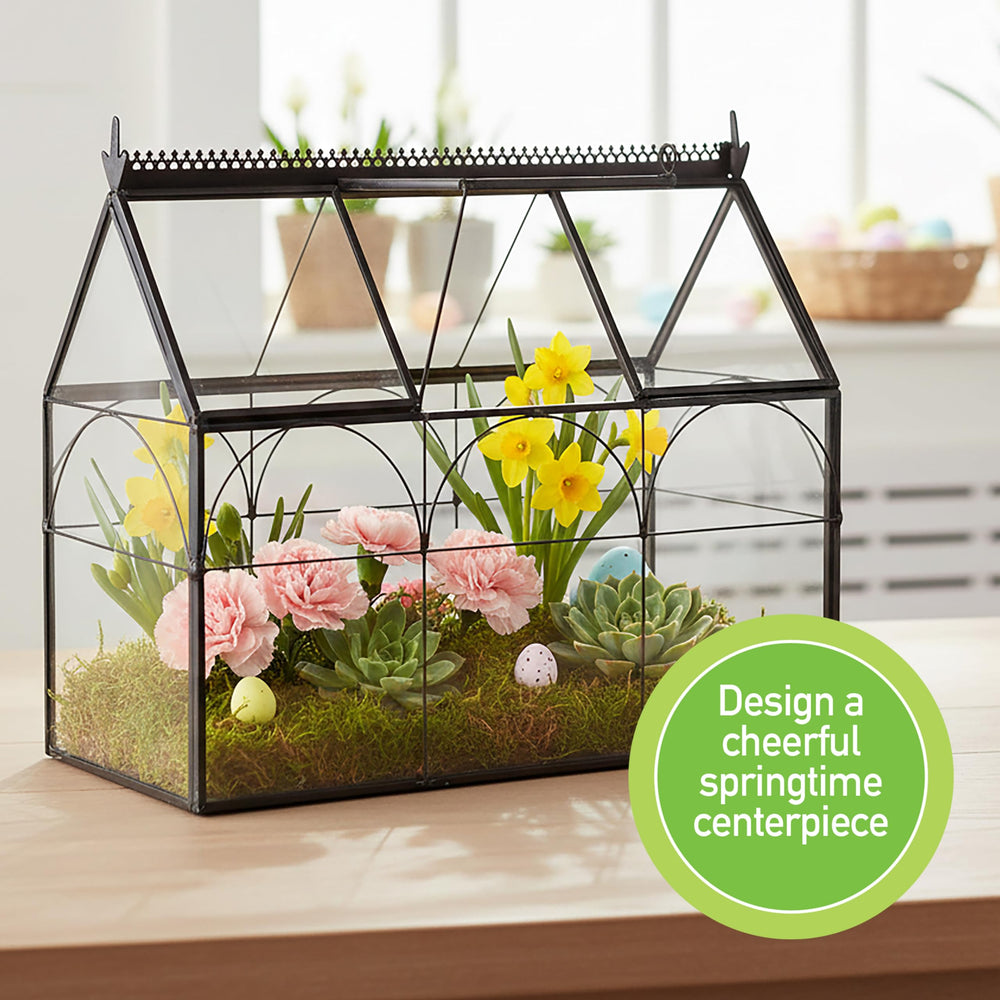 D'Eco Glass Greenhouse Terrarium side view showing the hinged opening