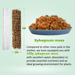 D-shaped moss pole showing rooting surface for plant attachment
