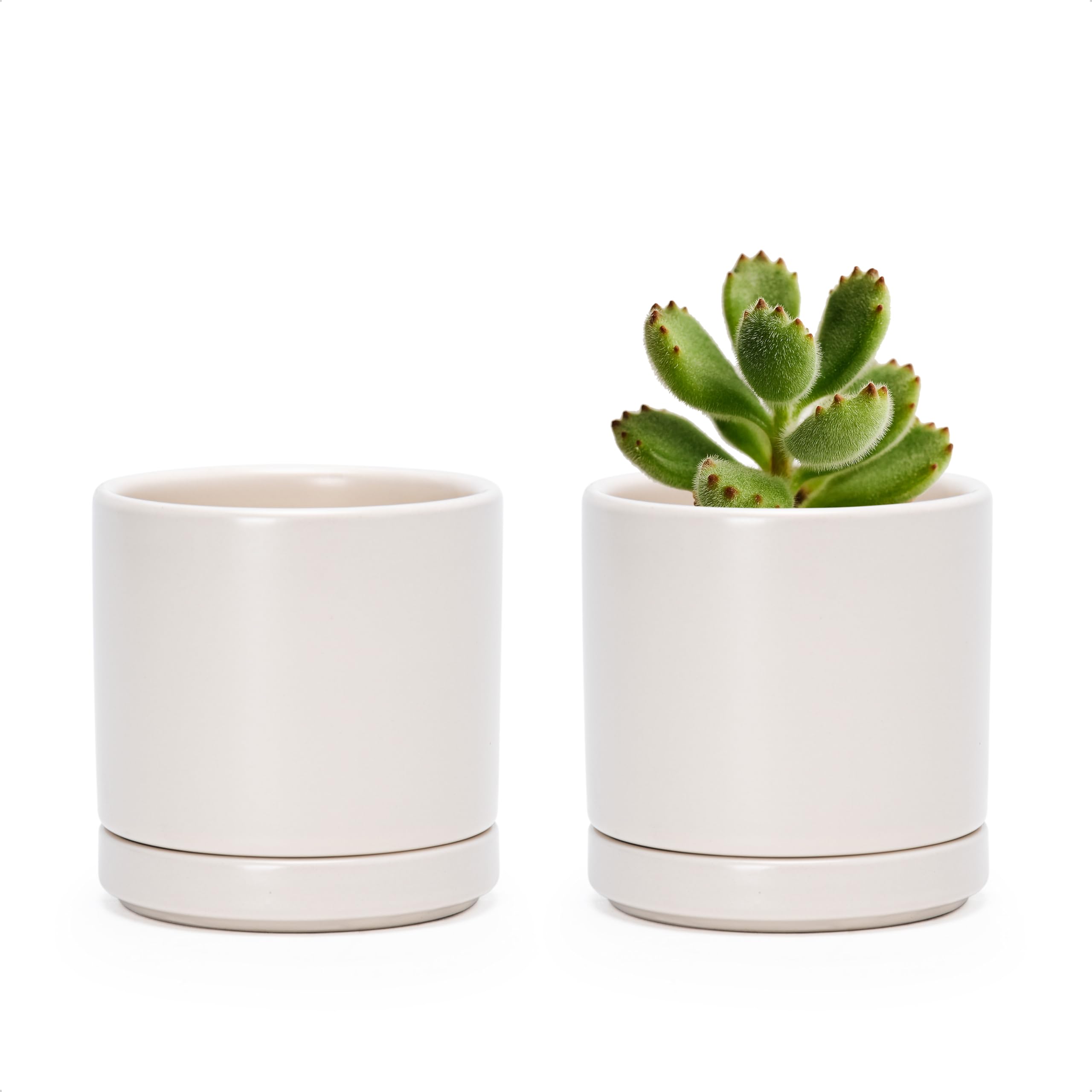 D'vine Dev 2-Pack Ceramic Pots front view in oatmeal colour