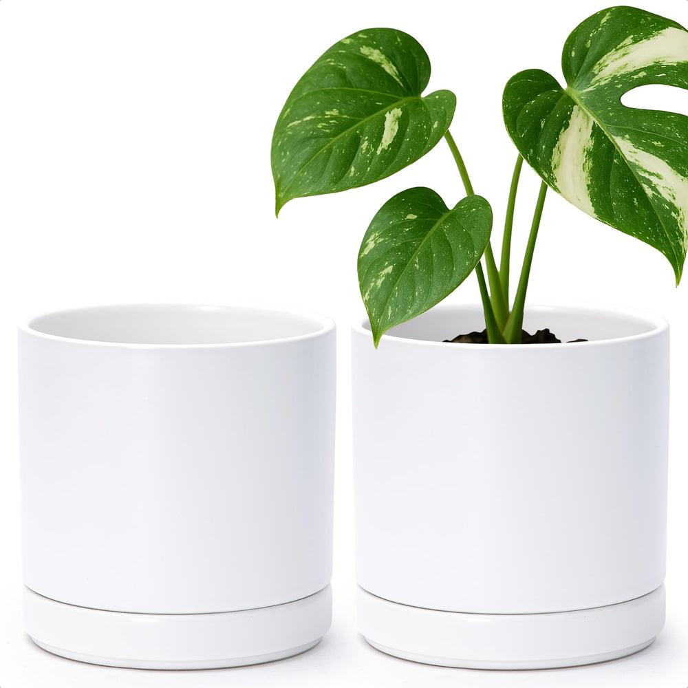 D'vine Dev 2-Pack Ceramic Pots front view, white 6.5 inches
