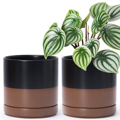 D'vine Dev 2-Pack Ceramic Pots in black and speckled tan, front view