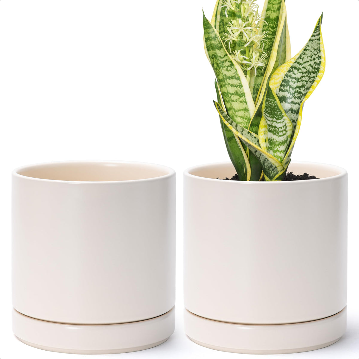 D'vine Dev 2-Pack Ceramic Pots, Oatmeal front view