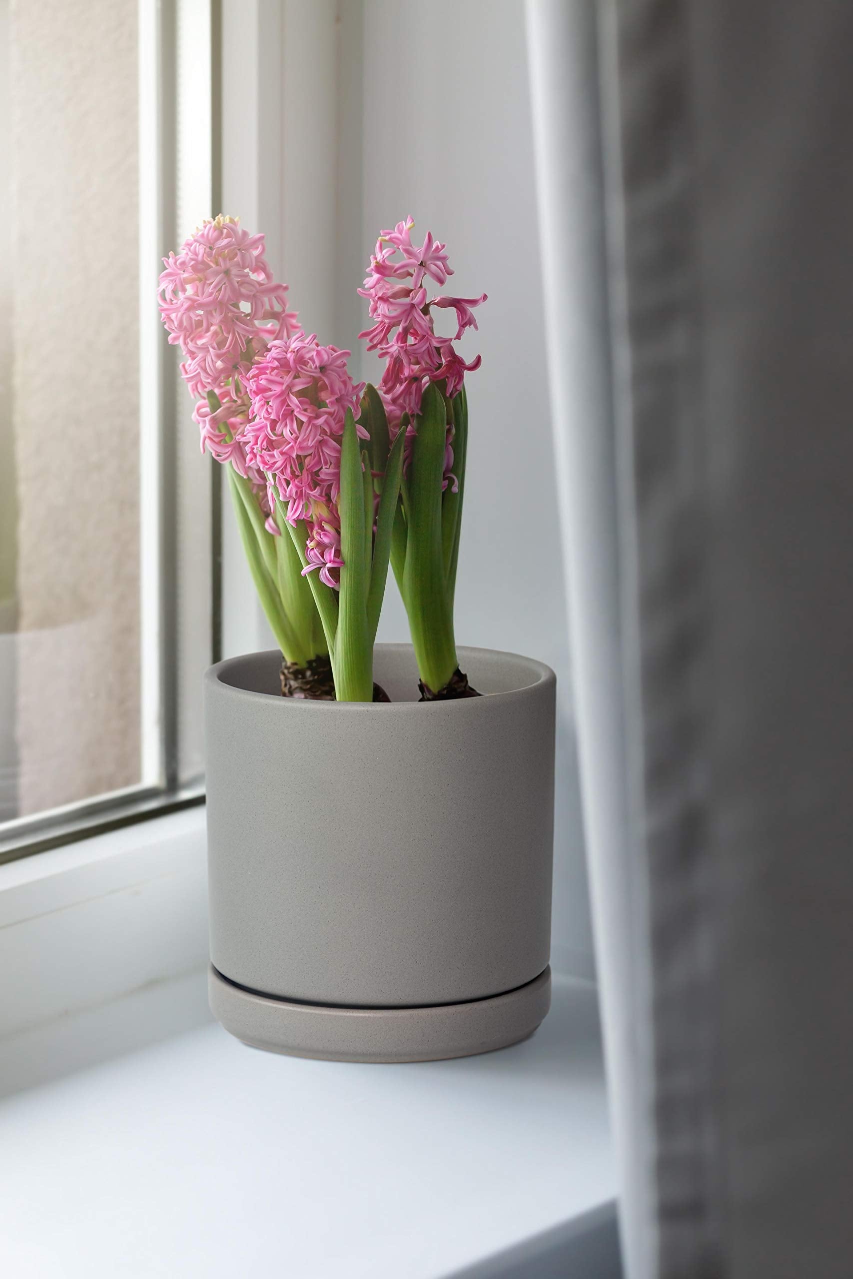 D'vine Dev 2-pack ceramic pots with included saucers
