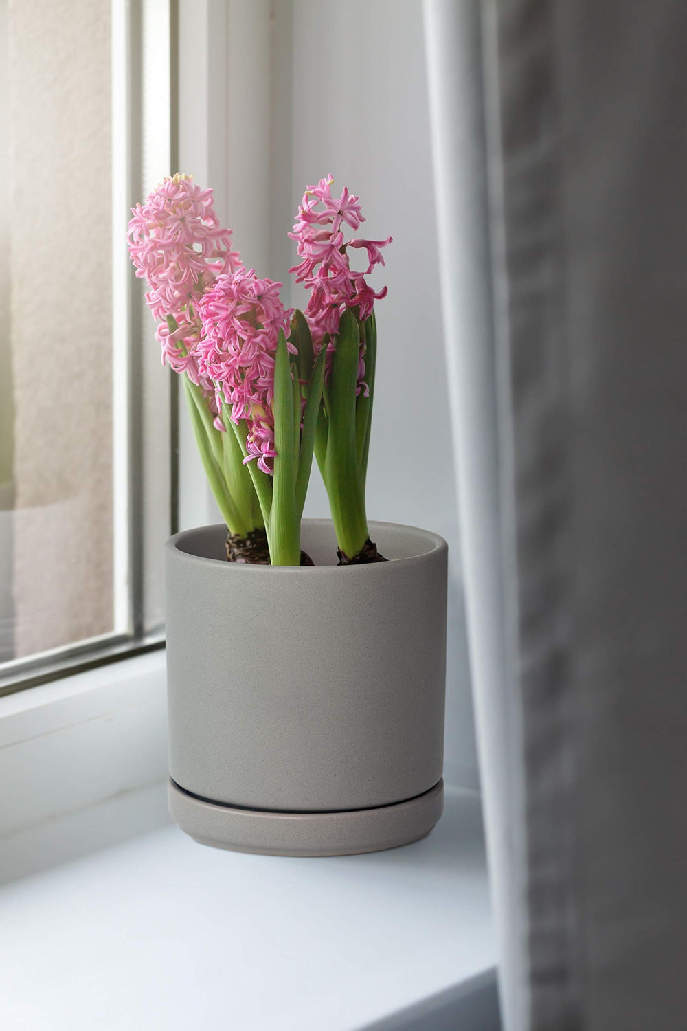 D'vine Dev 2-pack ceramic pots with included saucers
