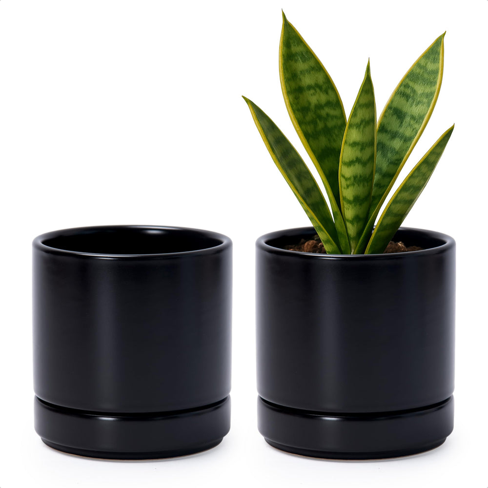 D'vine Dev 2-Pack Ceramic Pots with Saucers, Black, front view