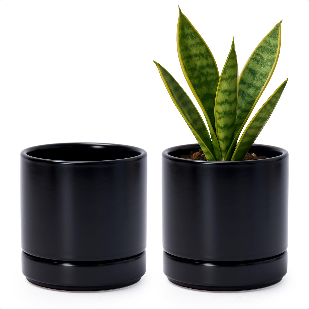 D'vine Dev 2-Pack Ceramic Pots with Saucers, Black, front view