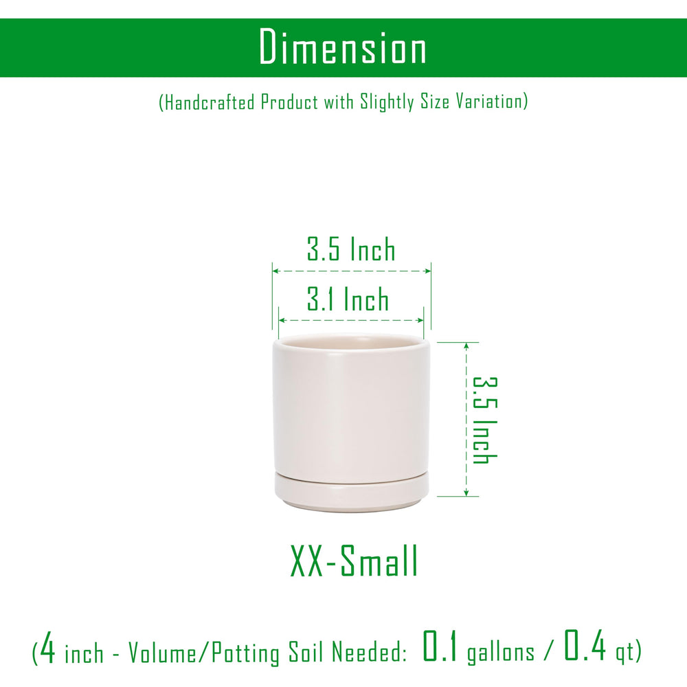 D'vine Dev 3.5 Inch ceramic planter with drainage hole