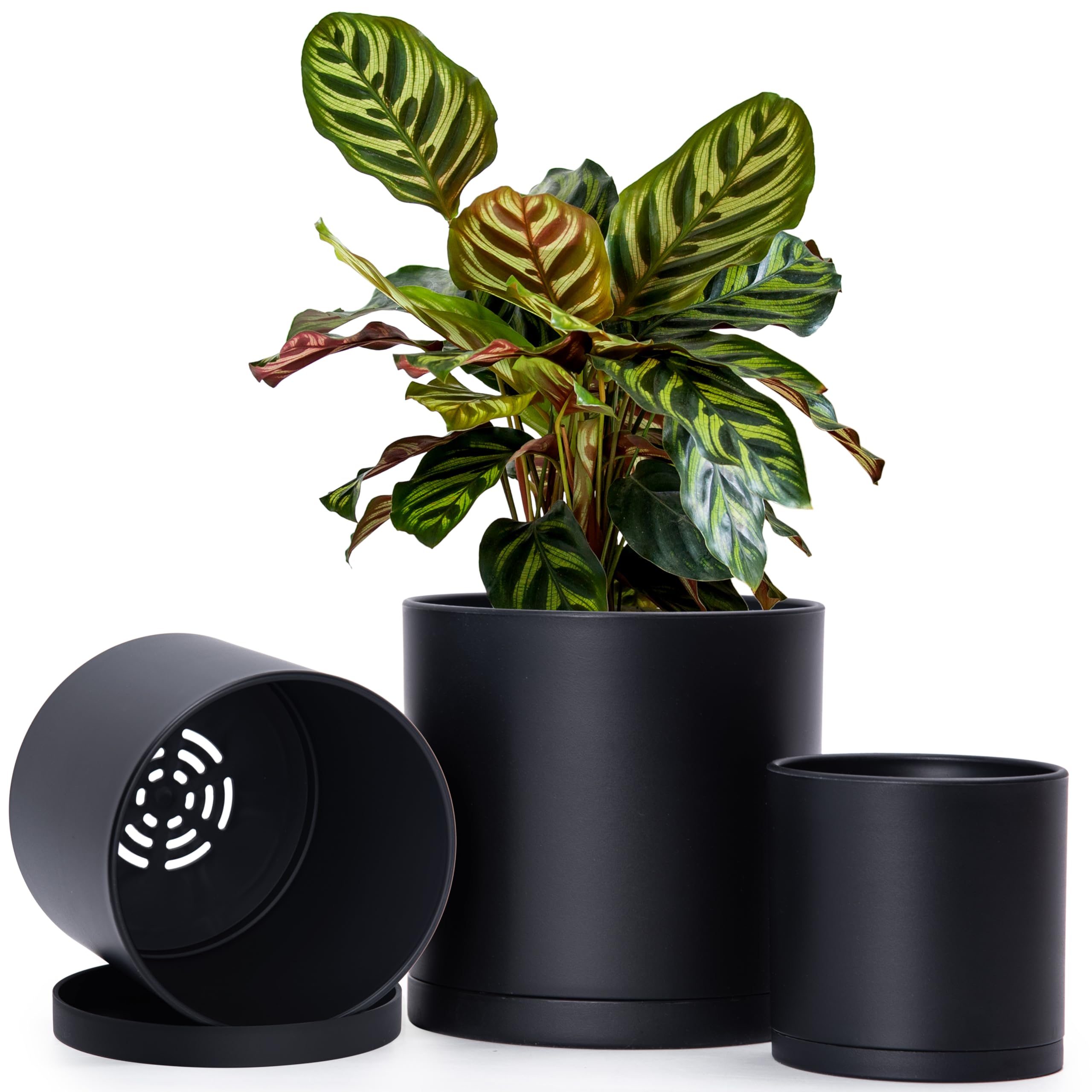 D'vine Dev 3-Pack Plastic Pots in Matte Black, 4.5, 5.5, and 6.5 inches