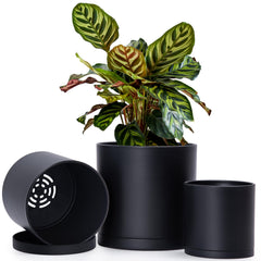 D'vine Dev 3-Pack Plastic Pots in Matte Black, 4.5, 5.5, and 6.5 inches