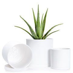 D'vine Dev 3-Pack Plastic Pots in matte white with saucers
