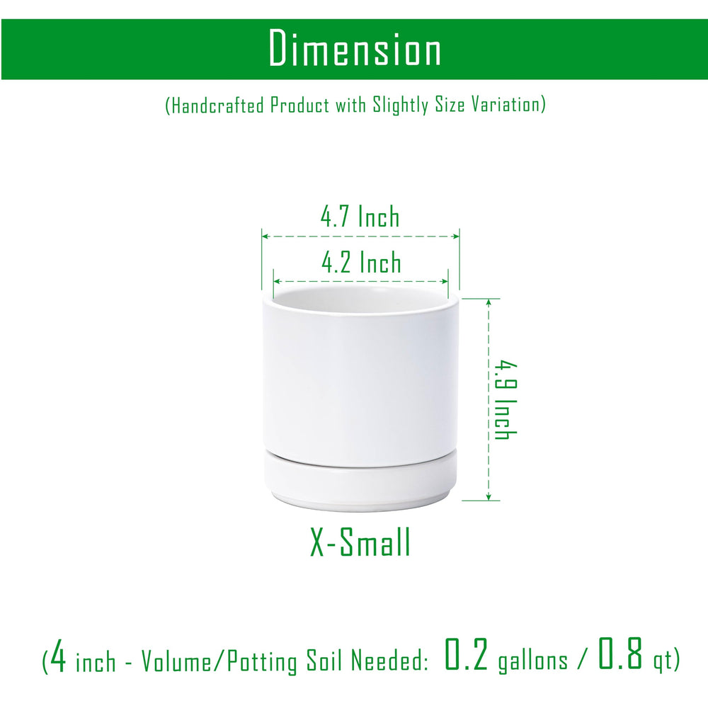 D'vine Dev 4.7-inch ceramic pot with saucer on a table