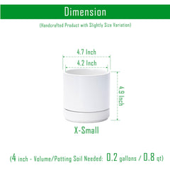 D'vine Dev 4.7-inch ceramic pot with saucer on a table