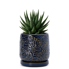 D'vine Dev 4 Inch Ceramic Planter Midnight Blue with Embossed Leaf Design