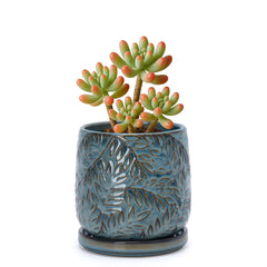 D'vine Dev 4-inch ceramic planter Ocean Teal with embossed leaves design