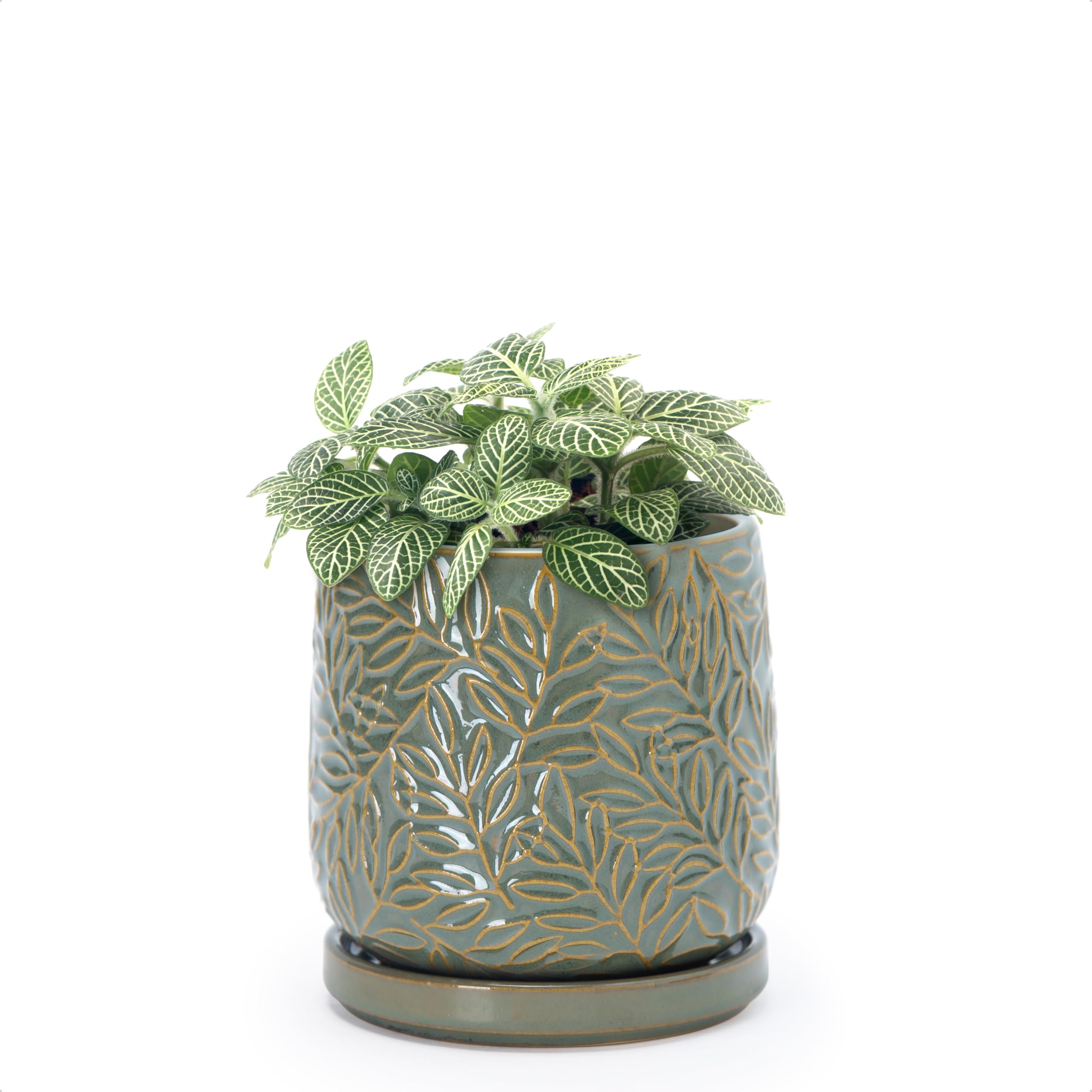 D'vine Dev 4 Inch Olive Ceramic Planter front view with embossed leaf design
