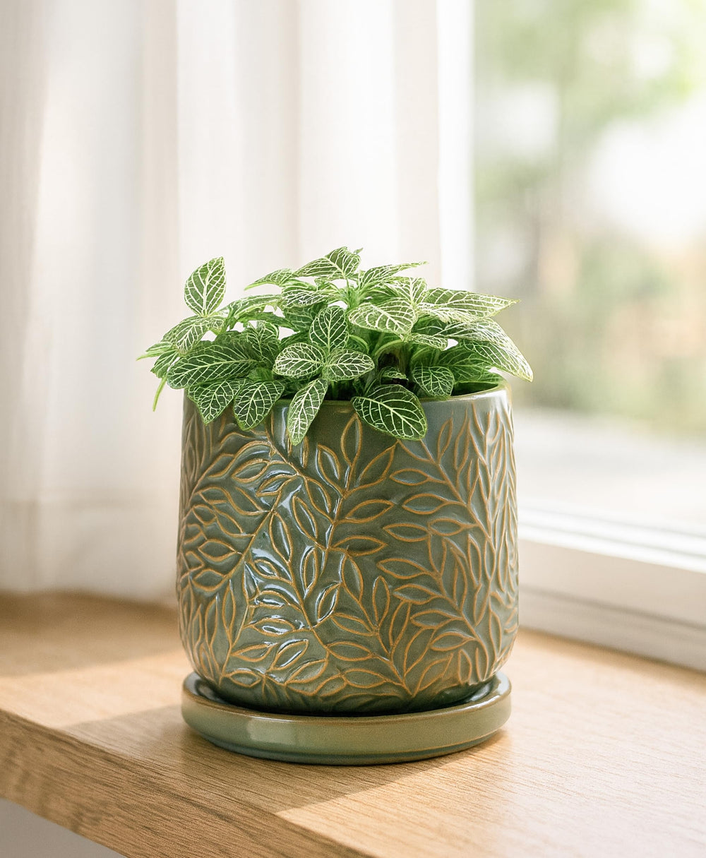 D'vine Dev 4 Inch Olive Ceramic Planter in a garden setting
