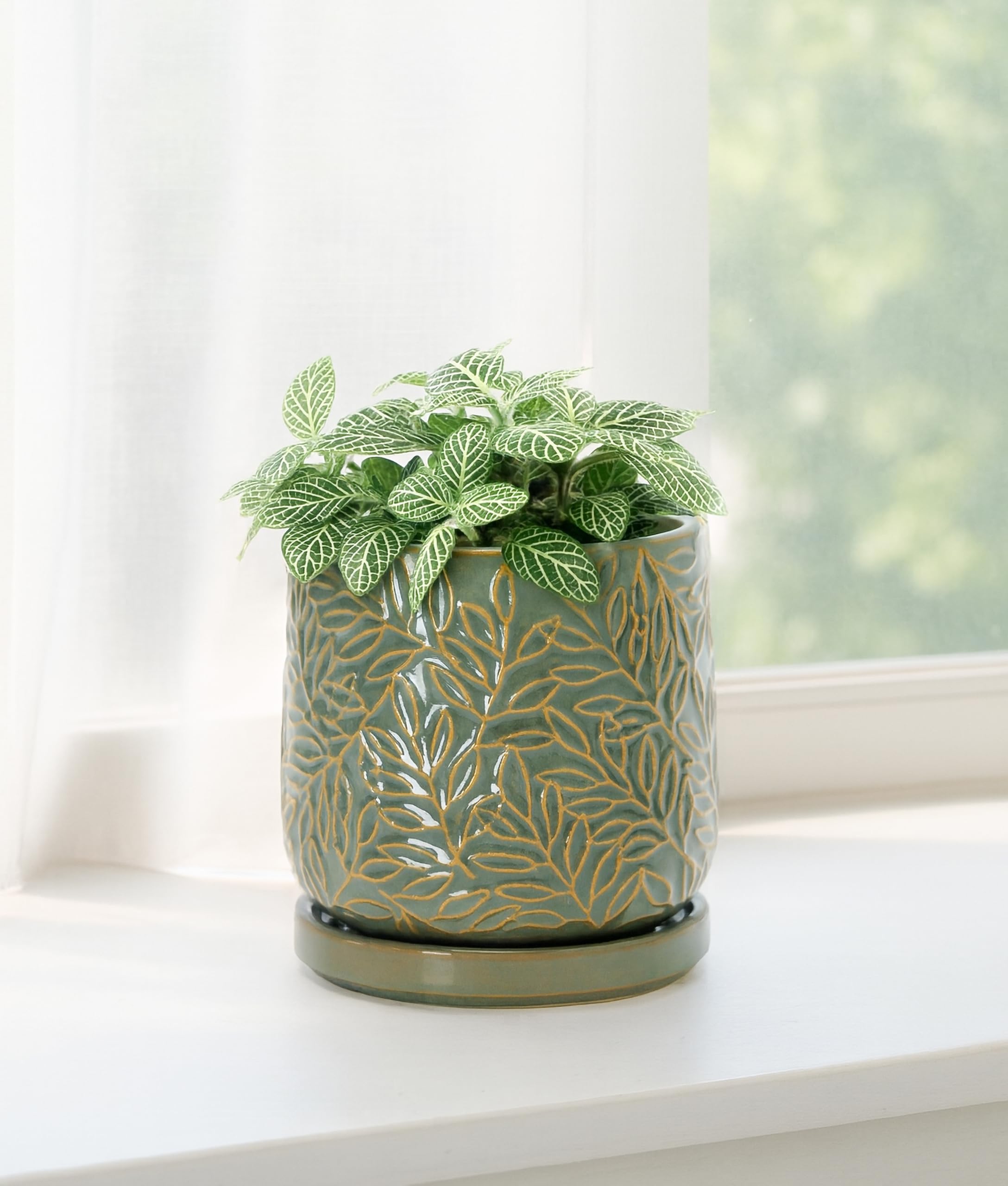 D'vine Dev 4 Inch Olive Ceramic Planter side view showcasing the drainage hole