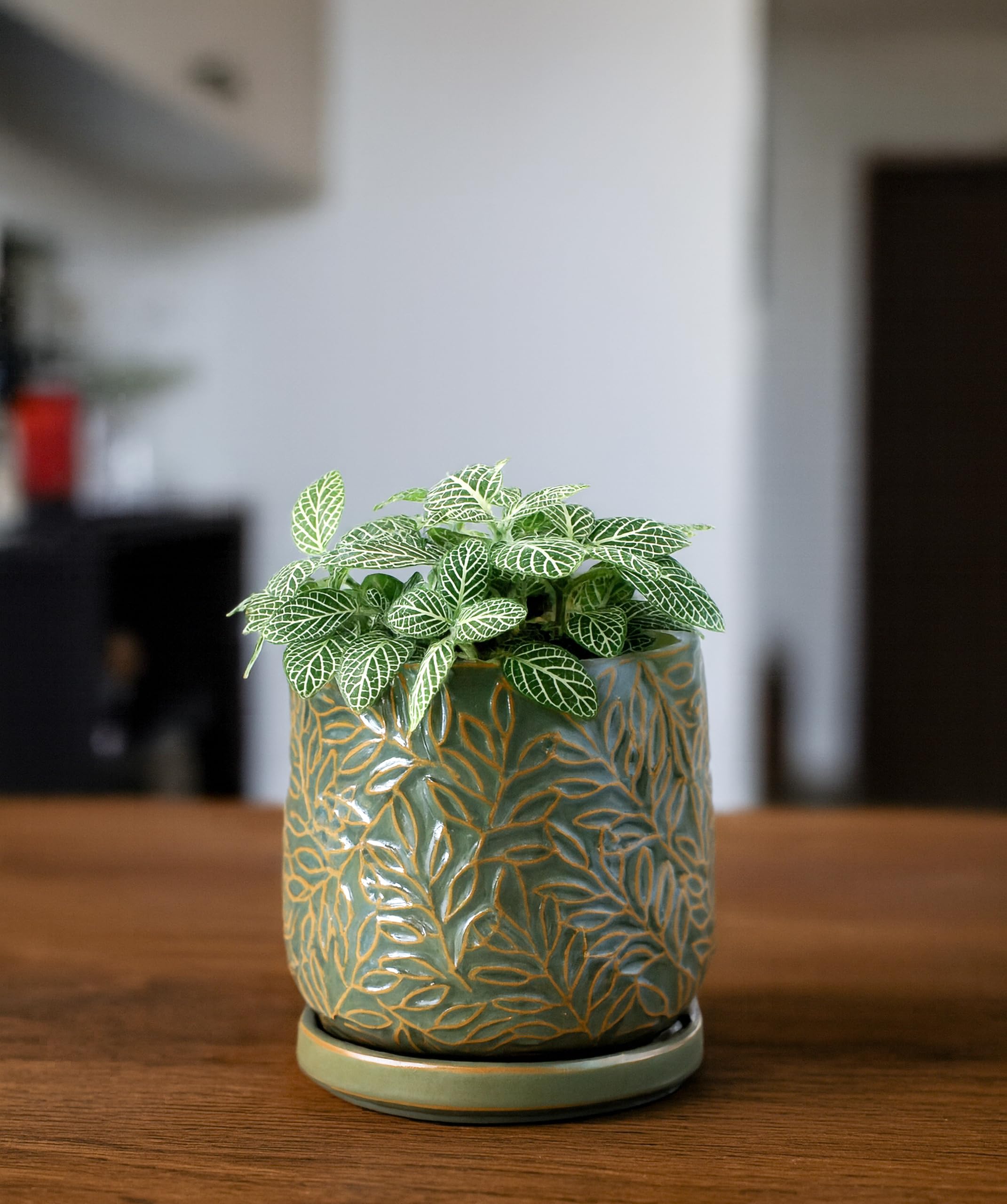 D'vine Dev 4 Inch Olive Ceramic Planter with decorative plants