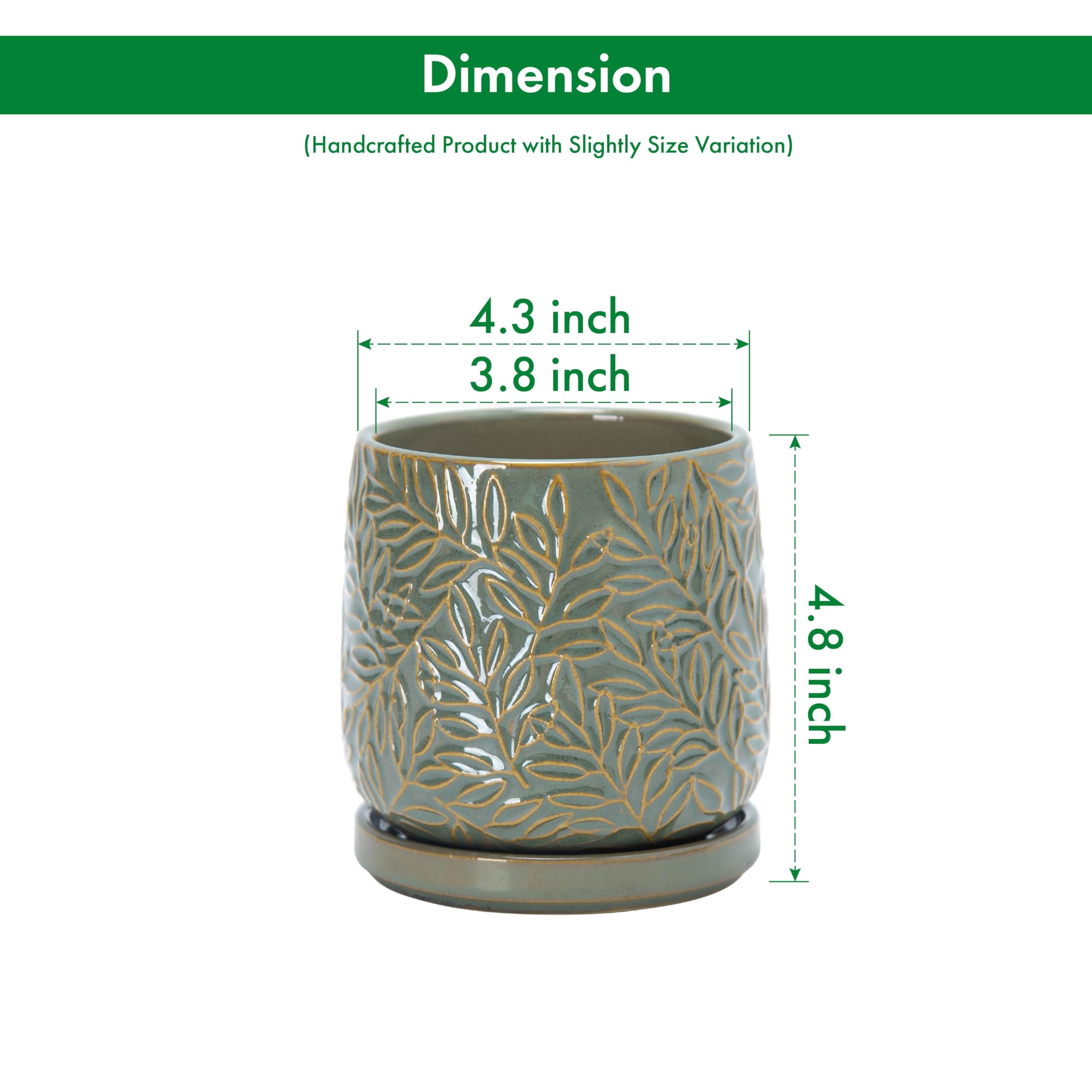 D'vine Dev 4 Inch Olive Ceramic Planter with matching saucer