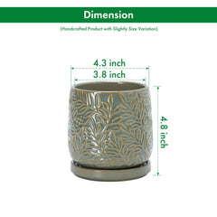 D'vine Dev 4 Inch Olive Ceramic Planter with matching saucer